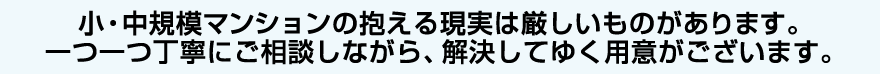 小・中規模マンションの抱える現実は厳しいものがあります。一つ一つ丁寧にご相談しながら、解決してゆく用意がございます。